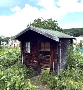 サムネイル画像