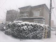 西茨戸1条1丁目 戸建