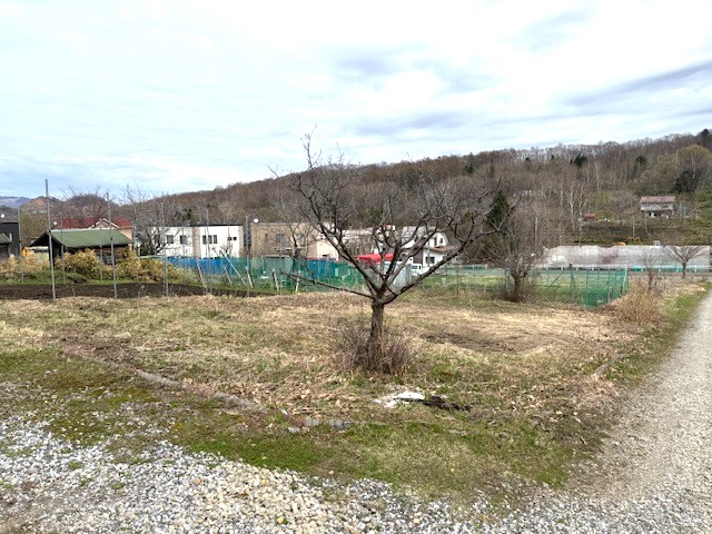 石山 土地